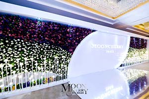 展臺搭建中常見的四種風(fēng)格！