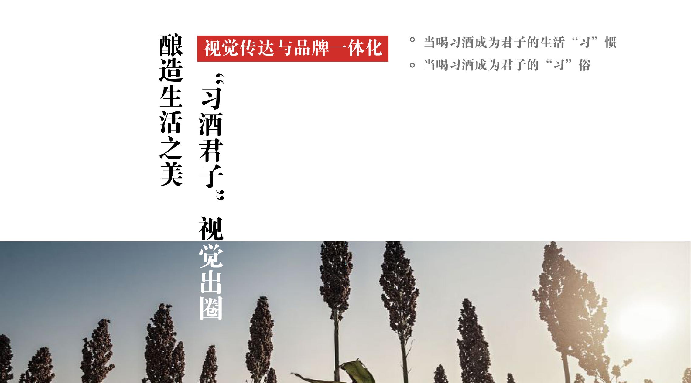 品牌策劃 | 習(xí)酒平面圖創(chuàng)意設(shè)計方案