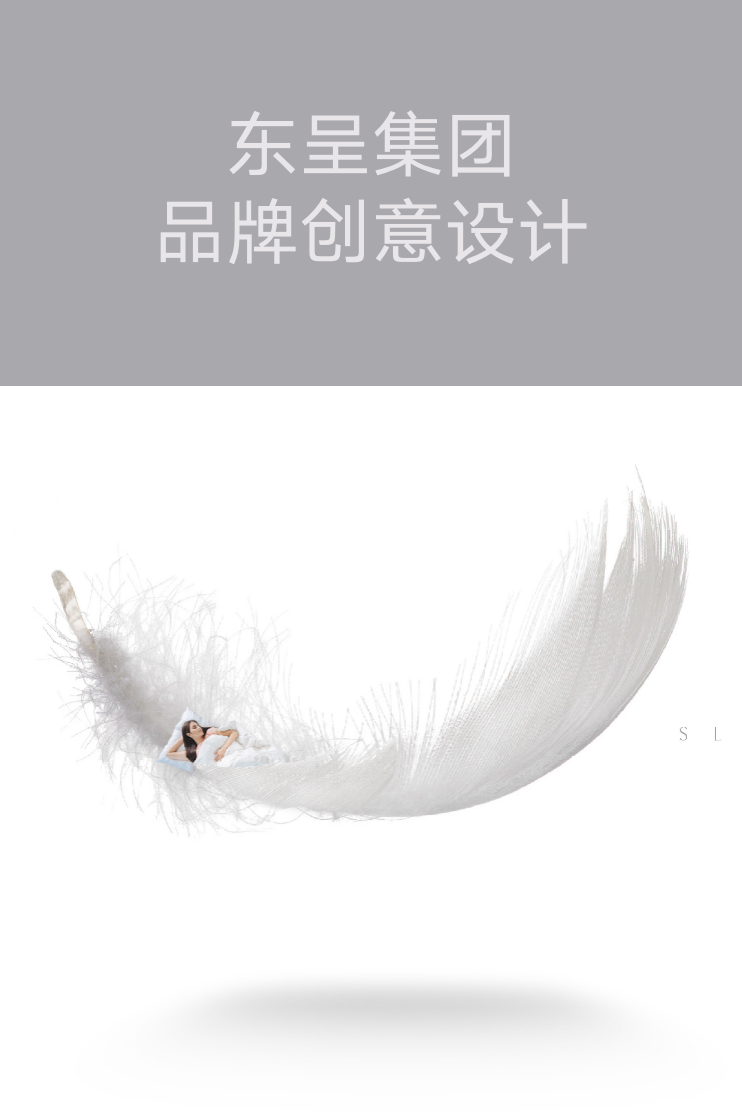 東呈集團-品牌創(chuàng)意設計